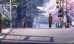 速秒5厘米在线观看